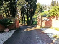 Villa Colle Olivi 