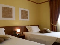 Hotel Montini Linate Airport 