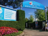 Butterfly Camping Village 