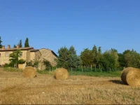 Agriturismo Podere San Gregorio 