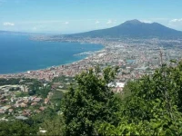 Uliveto del Mare 