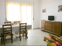 Edera Attico 
