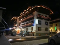 Hotel Collini 