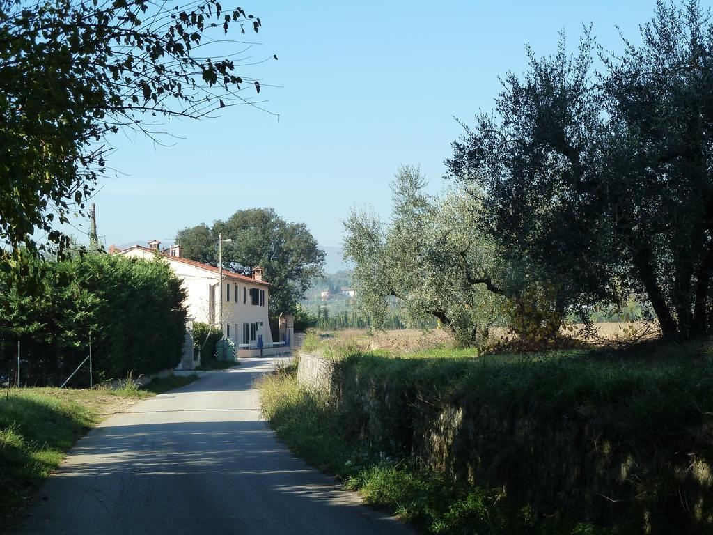 Al Vecchio Leccio 