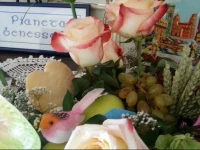 Bed&Breakfast Pianeta Benessere 