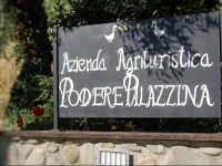 Podere Palazzina 