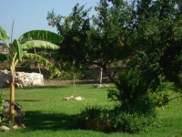 Casa Vacanze Gli Oleandri 