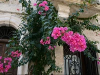 B&B Il Palazzotto 