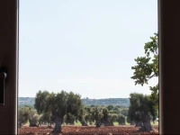 Rooms Masseria Giangrande 