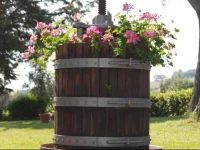 Agriturismo SantAnna 