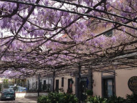 Hotel Degli Amici