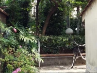 Pompei Rooms and Apartment 