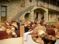 Agriturismo Musetti Angela 