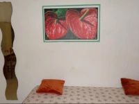 Immobilevante Casa Rada 