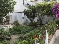 Ponza Arcipelago Pontino - Appartamento Scotti 