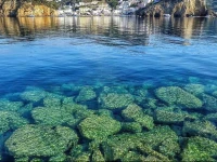 PonzaVacanze 