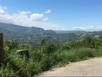 Manservisi 