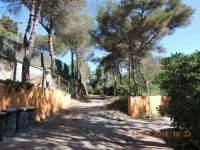 Camping Reale 