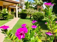 Villa Ro 