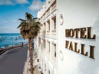 Hotel Falli 