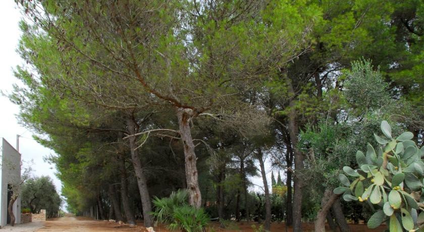B&B Quasimare 