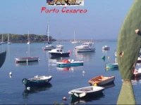 Casa Vacanze DonnAnna 