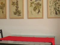 La Casa sul Corso B&B 