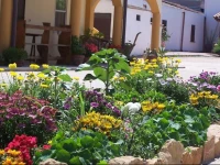 Agriturismo Cuile de Molino 