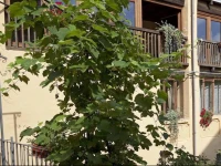 Agriturismo Oro di Berta 