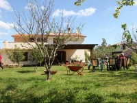 LUlivo Di Mare B&B 