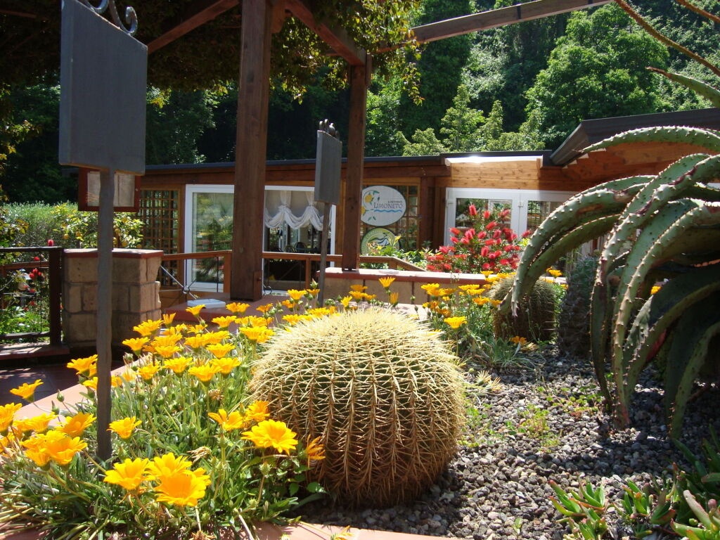Agave Hotel 