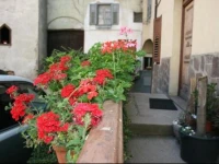 Casa Basilio 