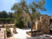 Tenuta De Marco 