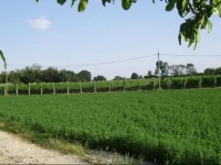 Agriturismo La Falcadura 