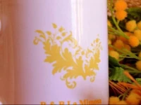 La Mimosa B&B 