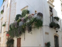 Casa Riccardi 