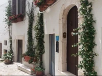 Santo Stefano 