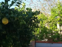 B&B Troisi 