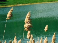 Monteraponi 