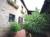 Podere di Stelle 