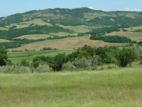 Agriturismo San Pierino 