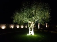 Casale 1821 