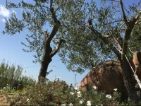 BBRiccione 