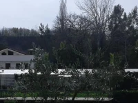 Parco dArte AltArt 