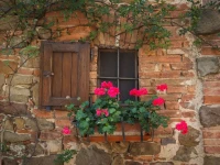 La Paterna Di Rigomagno 