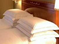Hotel Manfredi Suite In Rome 