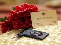 Hotel Bergamo 