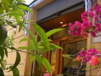 Hotel Mari 2 