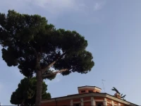 A Casa Del Dentista 