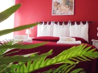 B&B Divina Roma 